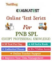 pnb specialist officer online test papers | 1 month